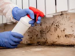 Trusted Ecru, MS Mold Prevention & Removal  Experts